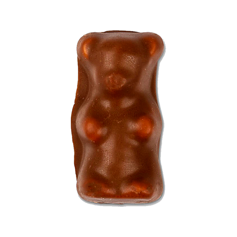 Chocolate Bear