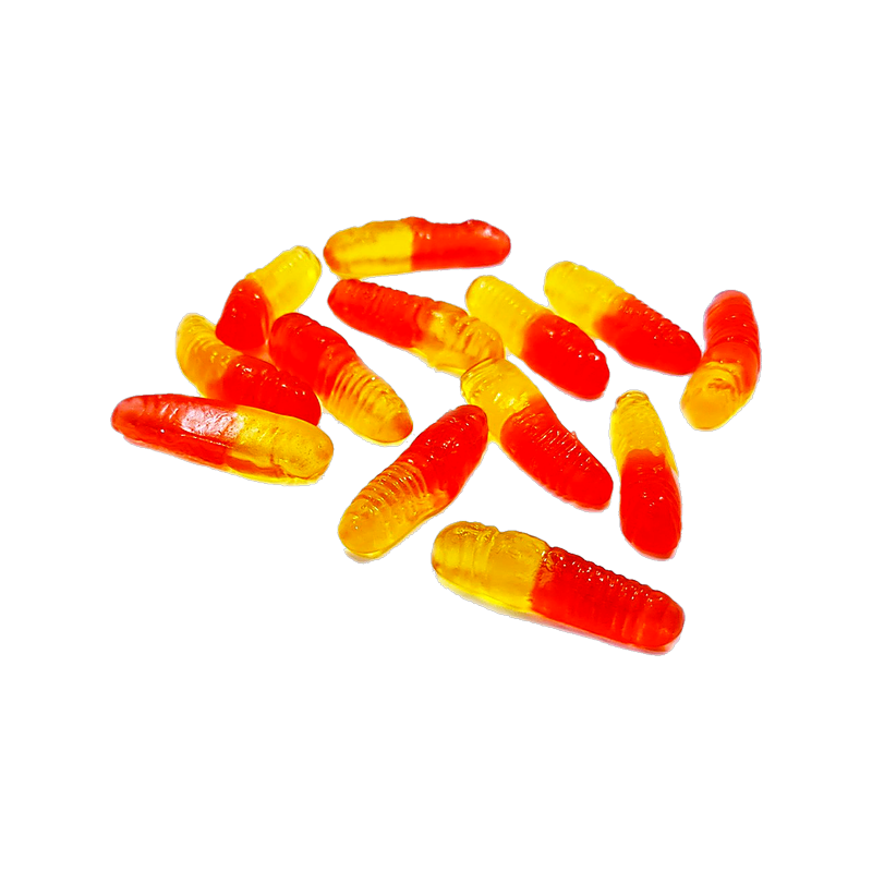 Fruit Worms